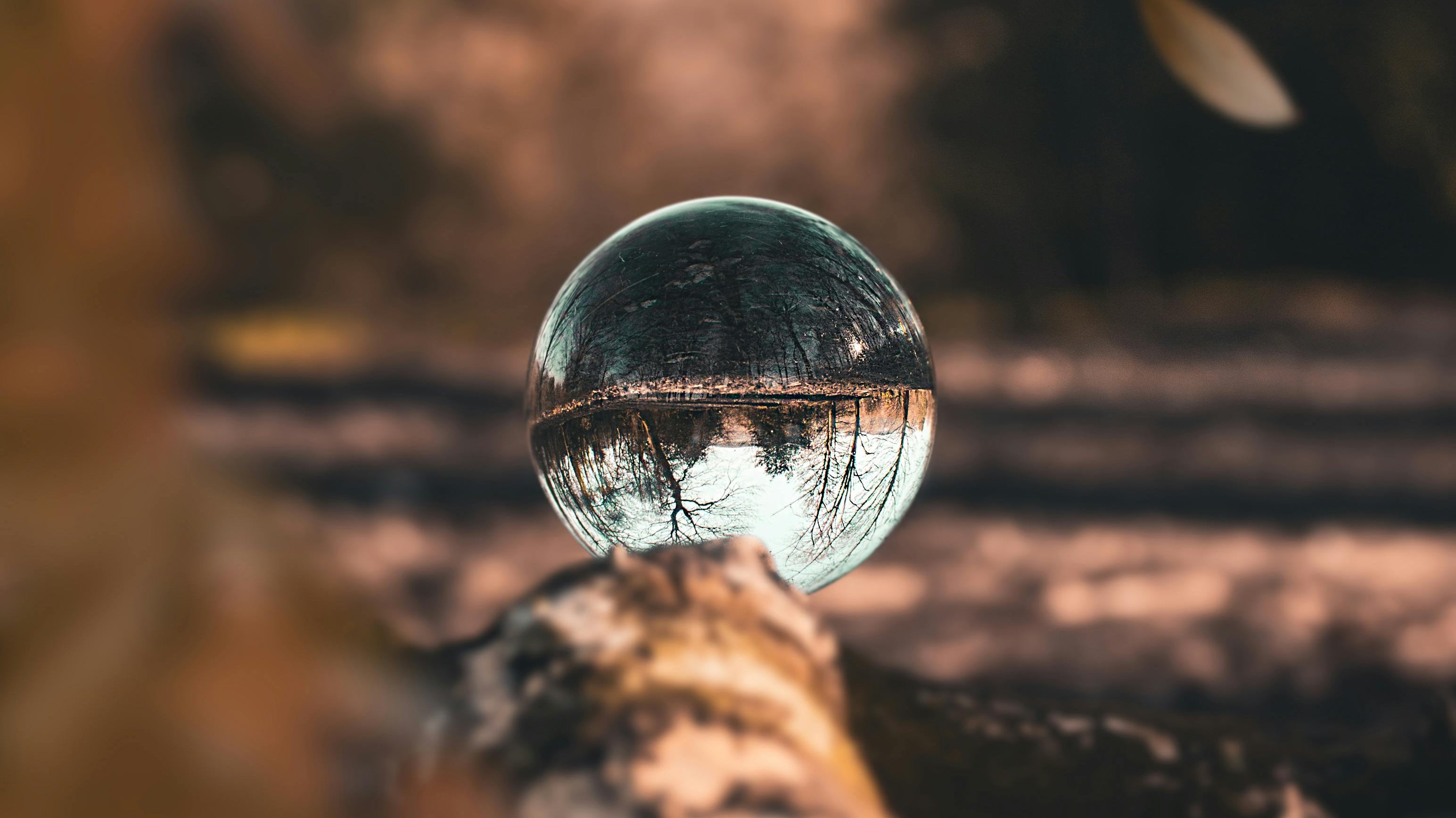 Your Brain on Autumn: The Neuroscience of Longing, Loneliness, and Healing