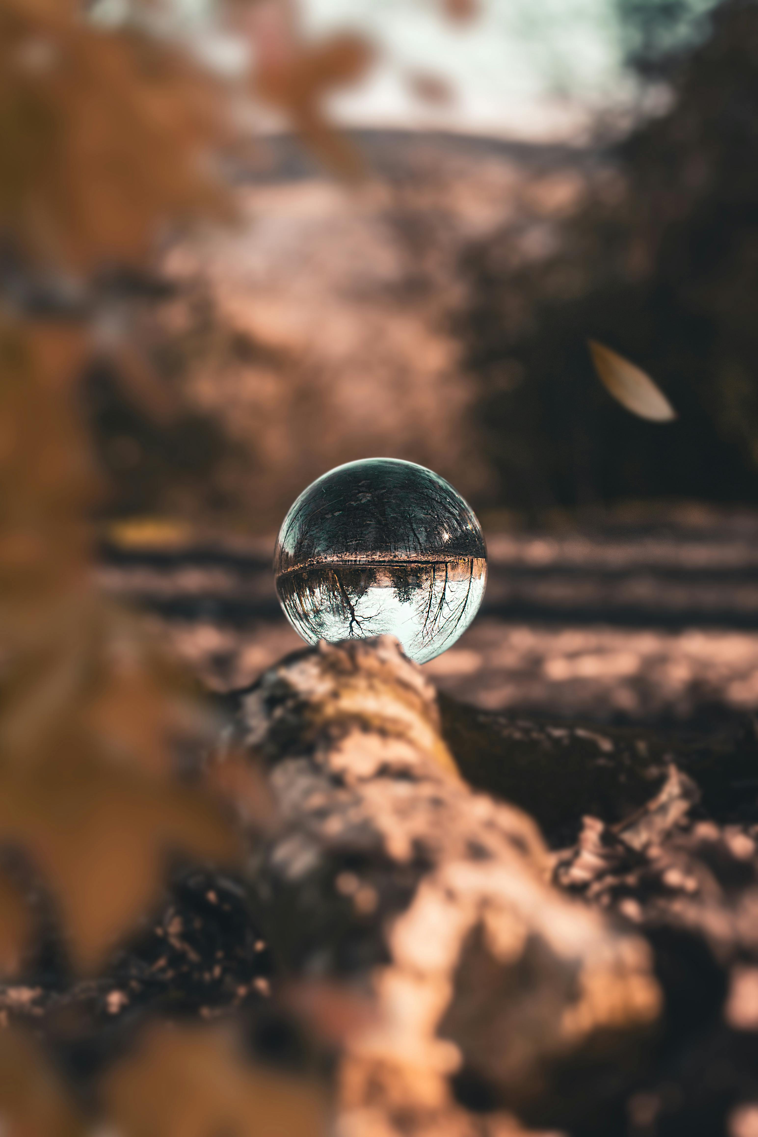 Your Brain on Autumn: The Neuroscience of Longing, Loneliness, and Healing
