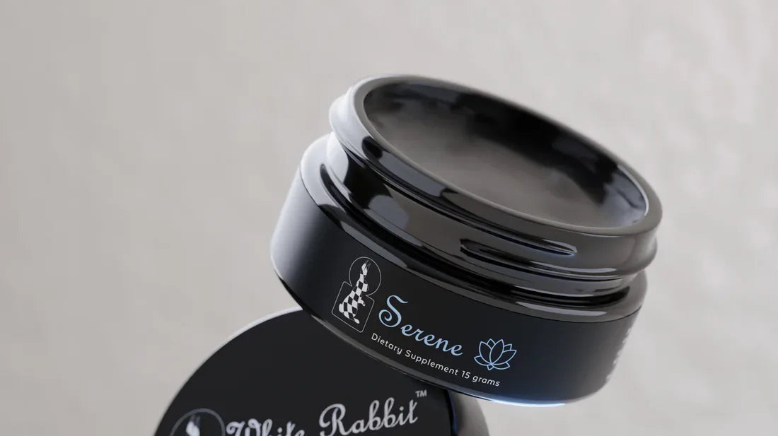 Fall Gift Guide: The White Rabbit Ritual & Why Habit Is Healing